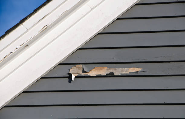 Best Garage Cleanout  in Lawrenceburg, IN